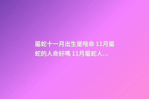 屬蛇十一月出生是啥命 11月屬蛇的人命好嗎 11月屬蛇人的命運如何-第1張-觀點-玄機派